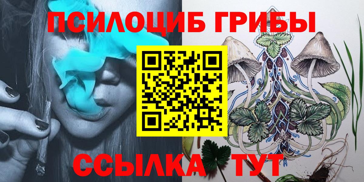 Псилоцибиновые грибы GOLDEN TEACHER Камышин
