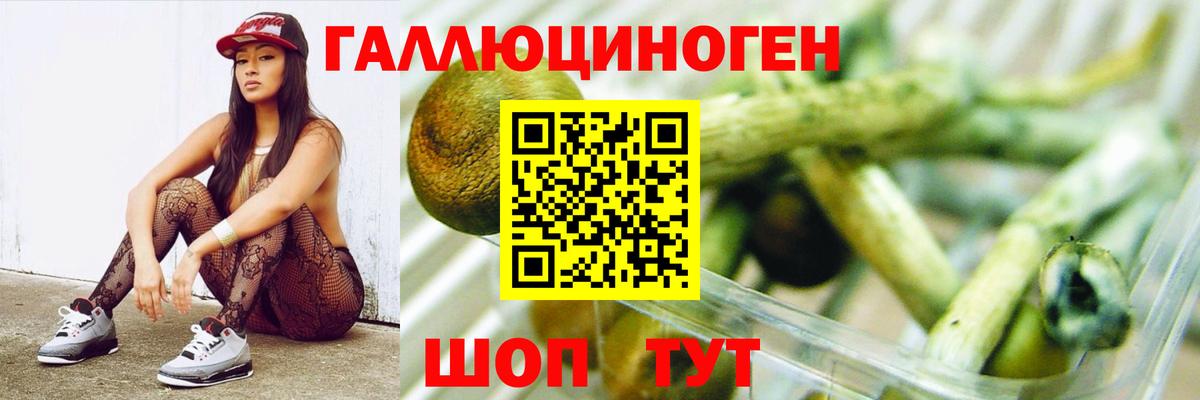 Псилоцибиновые грибы мицелий  Вход с VPN  как найти закладки  Камышин 